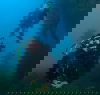 Scuba Dive The Beautiful Rottnest Island - VIC Tourism