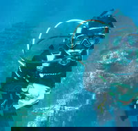 PADI Open Water Course - VIC Tourism