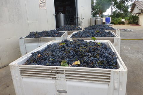 A Taste Of Margaret River Luxury Wine Tour - VIC Tourism 3