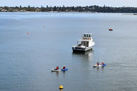 Cliffs And Caves Kayak Tour In Swan River - VIC Tourism 5