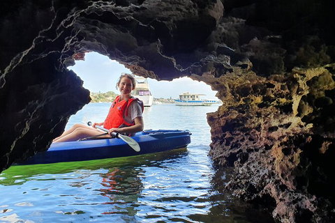Cliffs And Caves Kayak Tour In Swan River - VIC Tourism 3