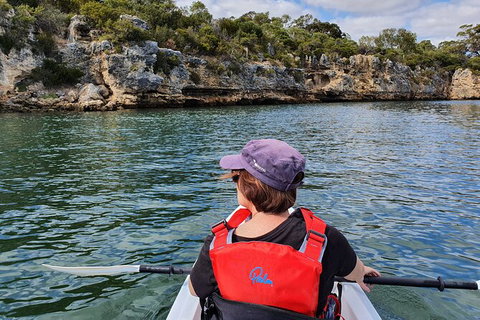 Cliffs And Caves Kayak Tour In Swan River - VIC Tourism 1