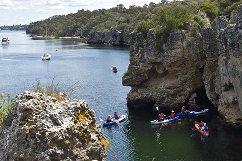 Cliffs And Caves Kayak Tour In Swan River - VIC Tourism 2