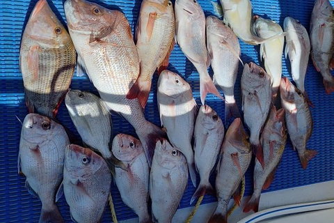 Geraldton Fishing Charter - VIC Tourism 7