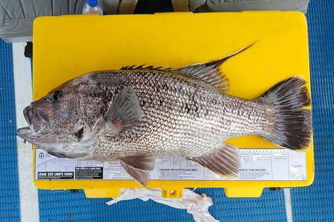 Abrolhos Islands Fishing Charter - VIC Tourism 2