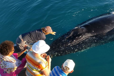 AOC Broome Whale Watching - VIC Tourism 0