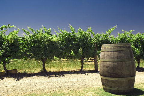 Pinnacles Desert Private Tour - VIC Tourism 4