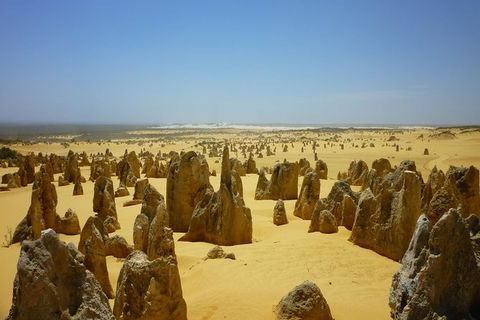 Pinnacles Desert Private Tour - VIC Tourism 5