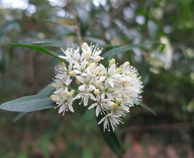 Booderee National Park - VIC Tourism 0