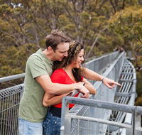 Valley of the Giants Tree Top Walk - VIC Tourism