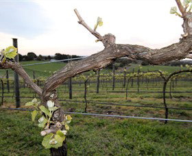 Drysdale VIC VIC Tourism