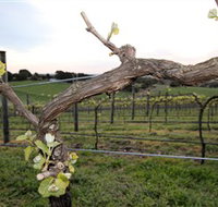 Nalbra Estate Wines - VIC Tourism