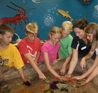 Naturaliste Marine Discovery Centre - VIC Tourism