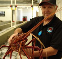 Lobster Shack - VIC Tourism