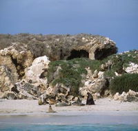 Jurien Bay Marine Park - VIC Tourism