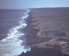 Book Denham WA Attractions VIC Tourism VIC Tourism