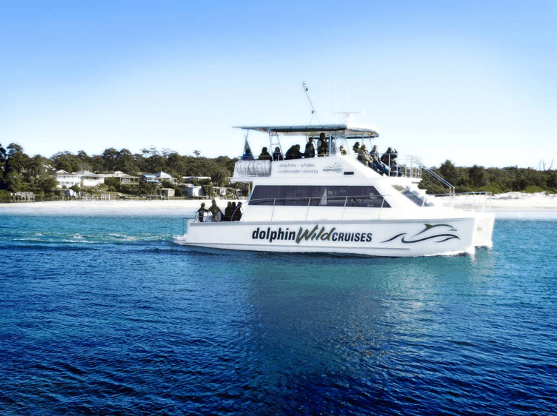 Dolphin Wild Cruises - VIC Tourism 1
