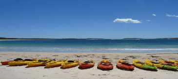 Jervis Bay Kayak & Paddlesports - VIC Tourism 5