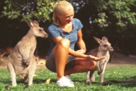 Jungle Tours And Trekking - VIC Tourism 1