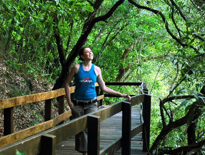 Jungle Tours And Trekking - VIC Tourism 4