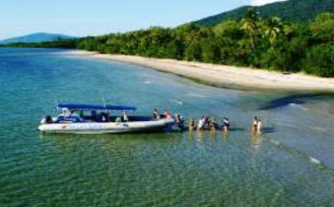 Cape Tribulation QLD VIC Tourism