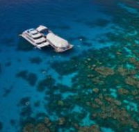 Great Adventures Reef and Green Island Cruises - VIC Tourism