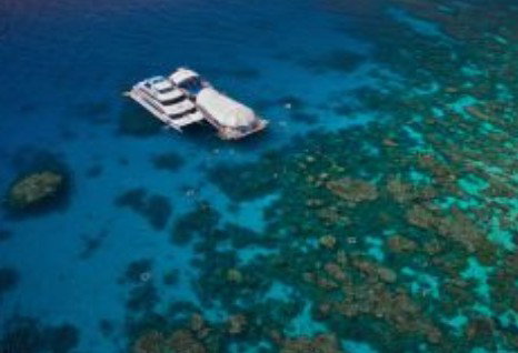 Great Adventures Reef And Green Island Cruises - VIC Tourism 0