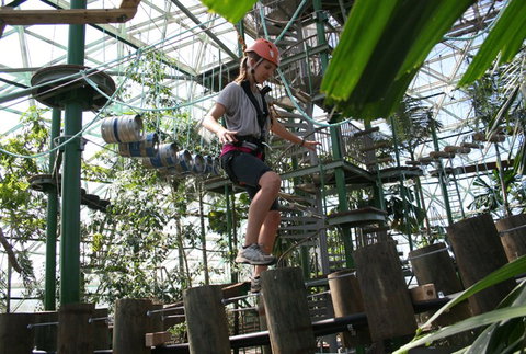Cairns ZOOm And Wildlife Dome - VIC Tourism 2