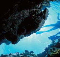 Deep Sea Divers Den - VIC Tourism