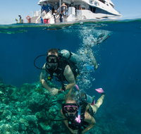 Down Under Cruise and Dive - VIC Tourism
