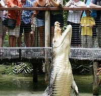 Hartley's Crocodile Adventures - VIC Tourism