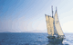 Tallship Adventures - thumb 0