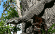 Tallship Adventures - thumb 1