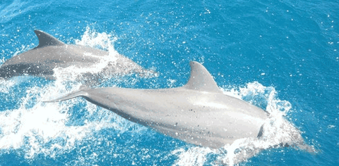 Tallship Adventures - VIC Tourism 3