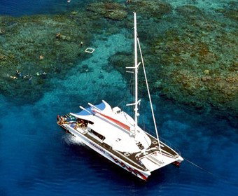 Yardarm Pty Ltd T/a Passions Of Paradise - VIC Tourism 2