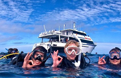 Pro Dive Cairns - VIC Tourism 0