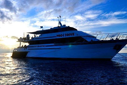 Pro Dive Cairns - VIC Tourism 1