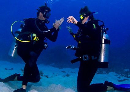 Pro Dive Cairns - VIC Tourism 2