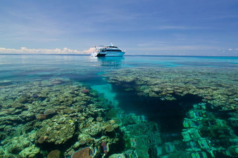 Pro Dive Cairns - VIC Tourism 4