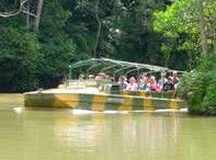 Rainforestation Nature Park - VIC Tourism 4