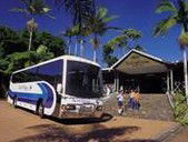 Rainforestation Nature Park - VIC Tourism 5