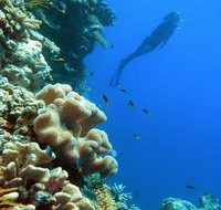 Reef Magic Cruises - VIC Tourism