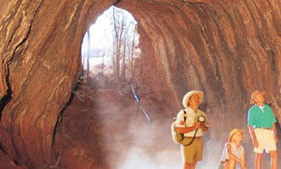 Undara Experience - VIC Tourism 3