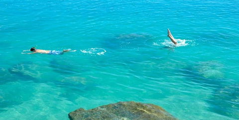 Salty Dog Sea Kayaking - VIC Tourism 1