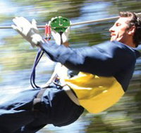 Adventure Parc - VIC Tourism