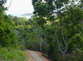 The Airlie Creek Track - VIC Tourism 1