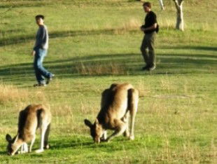 Southern Queensland Country QLD VIC Tourism