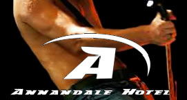Annandale Hotel - VIC Tourism 0