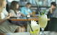 Watershed Hotel - thumb 0