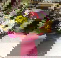 Bahia Restaurant - VIC Tourism